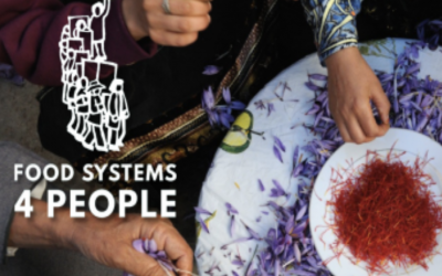 HUNDREDS OF GRASSROOTS ORGANIZATIONS TO OPPOSE UN FOOD SYSTEMS SUMMIT