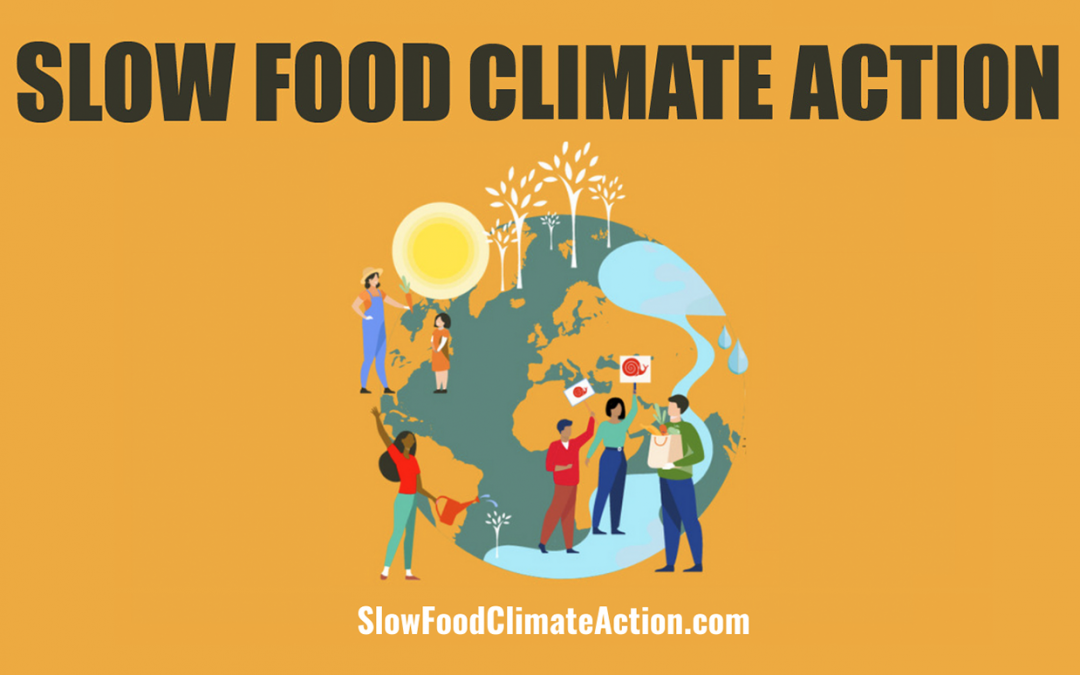 Slow Food: COP26 overeenkomst is lang niet genoeg!