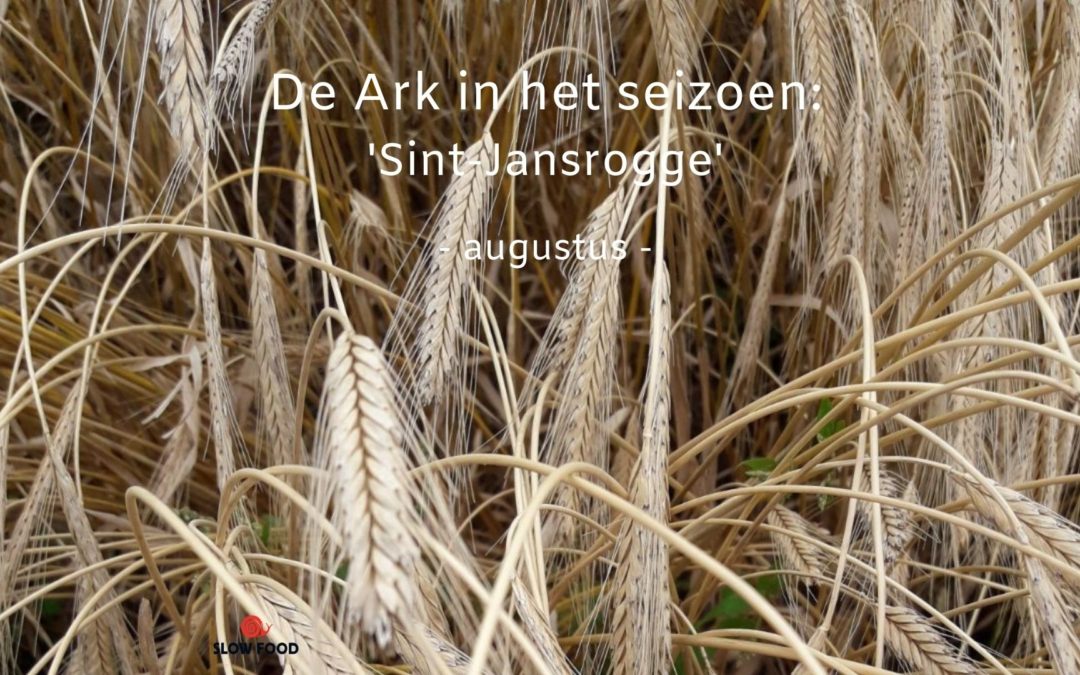 De Ark in het Seizoen: Sint-Jansrogge (augustus)