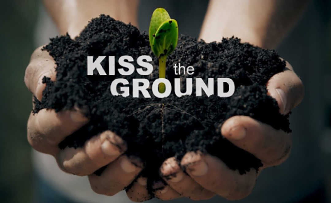 Als je ‘Kiss the Ground’ nog niet gezien hebt…