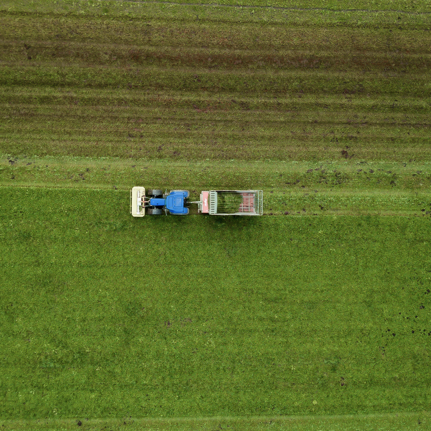 Efficiënte versus robuuste landbouw