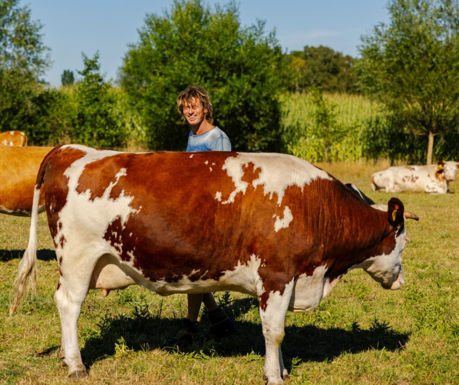 Gerjo Koskamp van BD Boerderij Ruimzicht bij zijn koeien in de wei