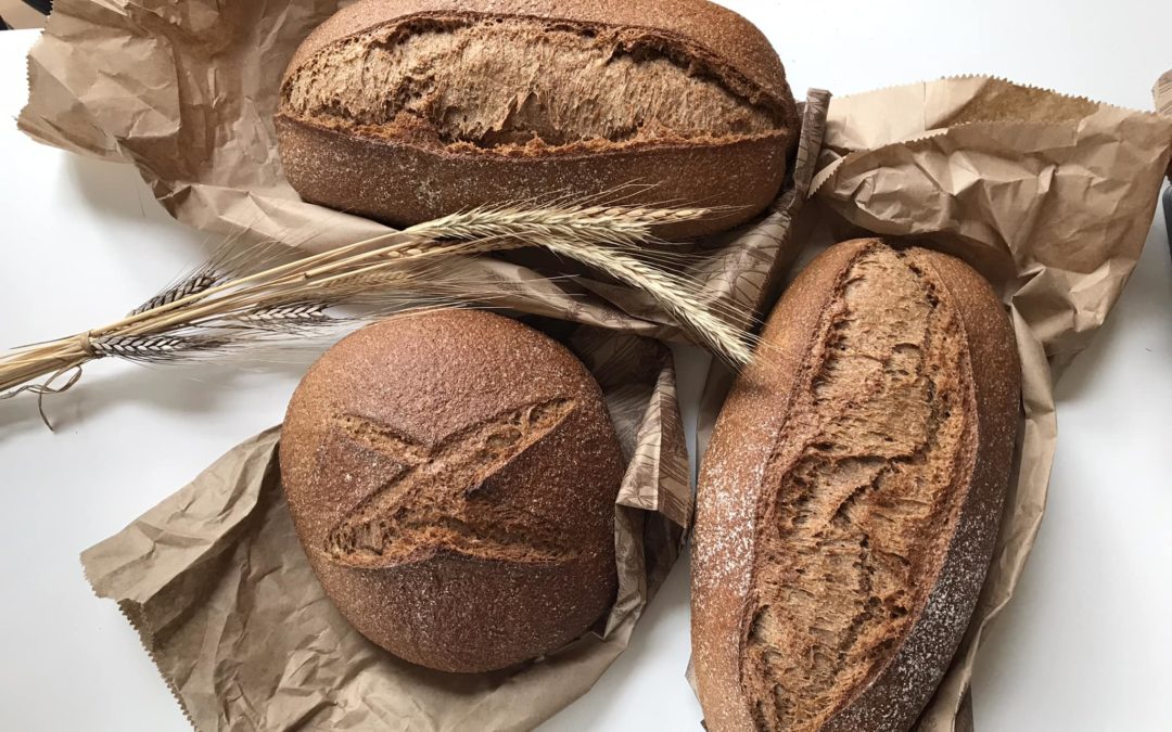 Brood en Meer De Steeg BV/ Bakkerij Tom van Otterloo