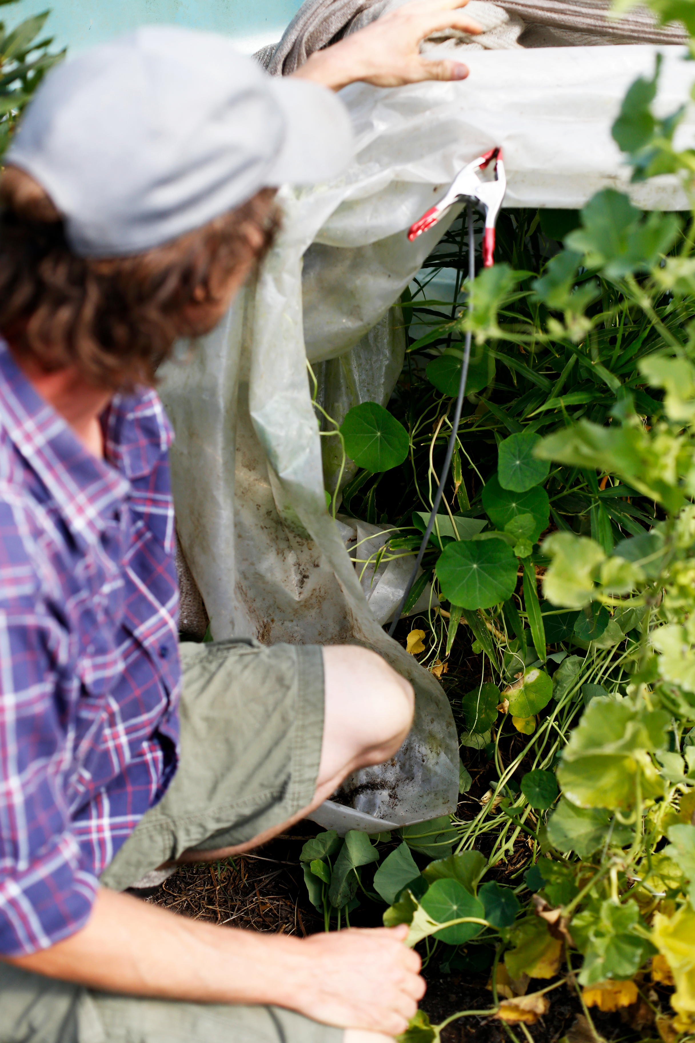 Slow Food Professional: GroenHartig