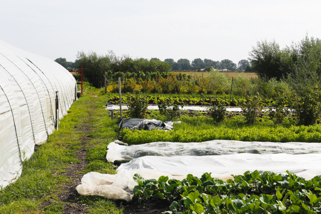 Slow Food Professional: GroenHartig